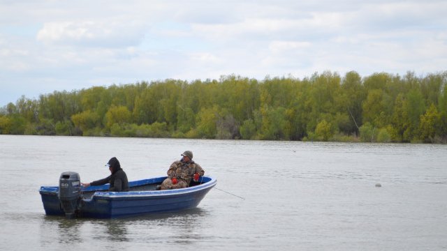 Intervenție de salvare în Delta Dunării! Doi turiști aflaţi pe o barcă s-au rătăcit