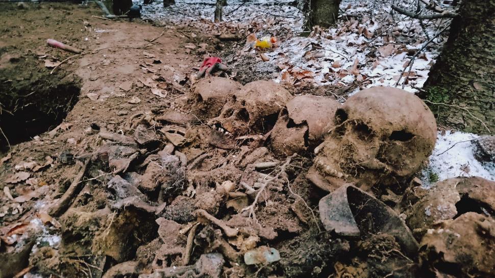 Scheletele a șase soldați, găsite de un arheolog amator, în Slănic Moldova, județul Bacău 803769