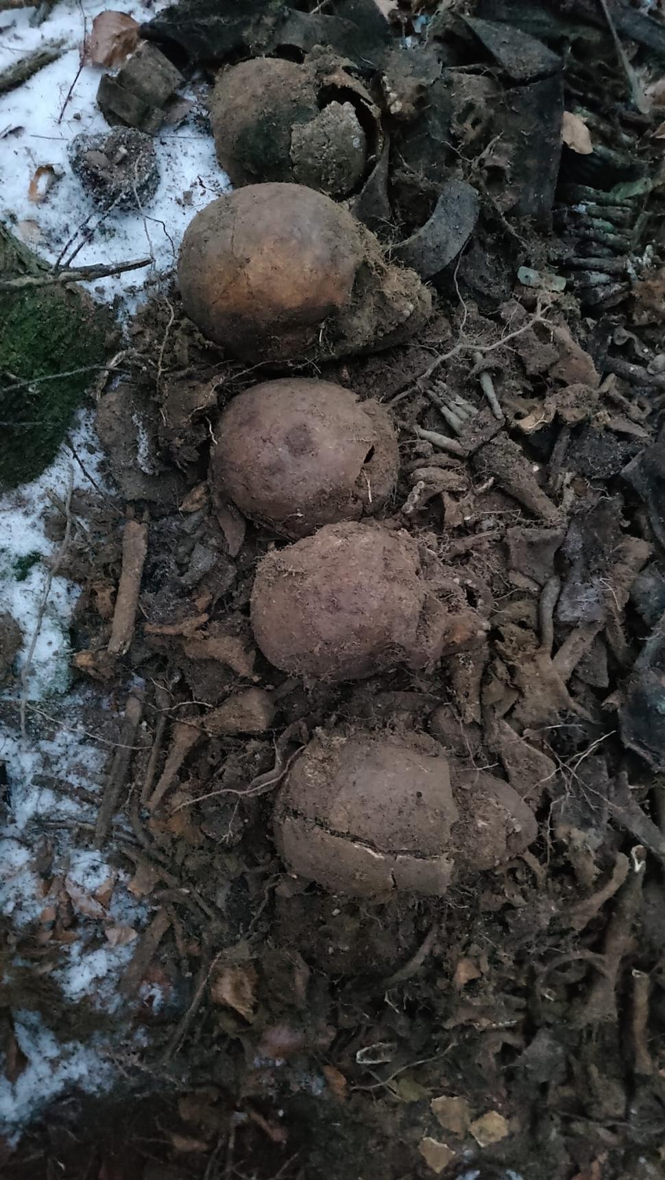 Scheletele a șase soldați, găsite de un arheolog amator, în Slănic Moldova, județul Bacău 803771