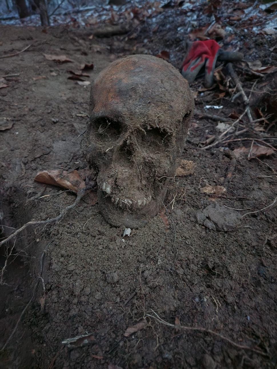 Scheletele a șase soldați, găsite de un arheolog amator, în Slănic Moldova, județul Bacău 803772