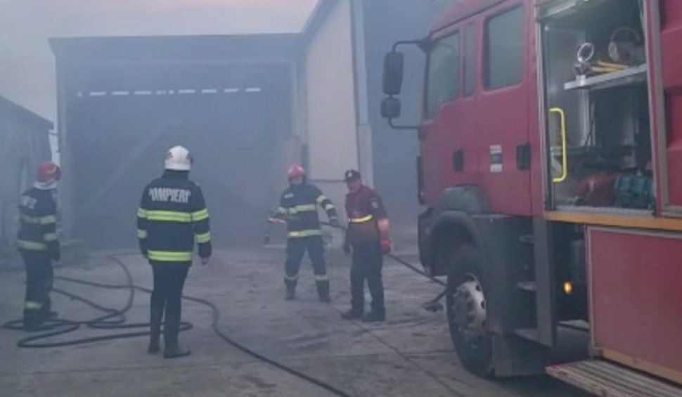 Incendiu la o fermă din Satu Mare: 9.000 de găini au murit carbonizate