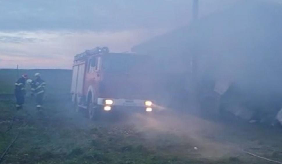 Incendiu la o fermă din Satu Mare: 9.000 de găini au murit carbonizate 804093