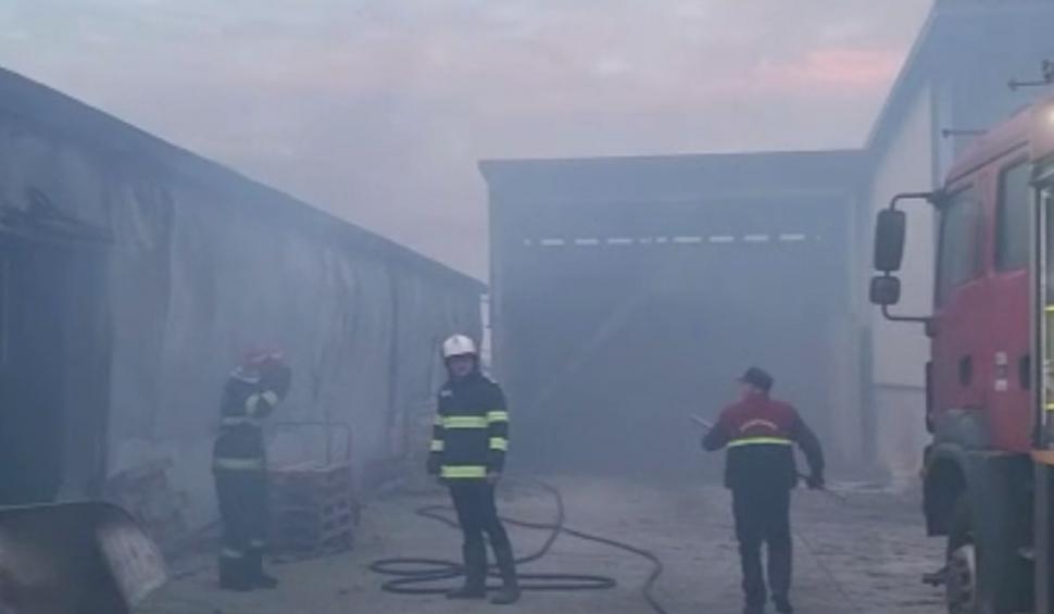 Incendiu la o fermă din Satu Mare: 9.000 de găini au murit carbonizate 804094