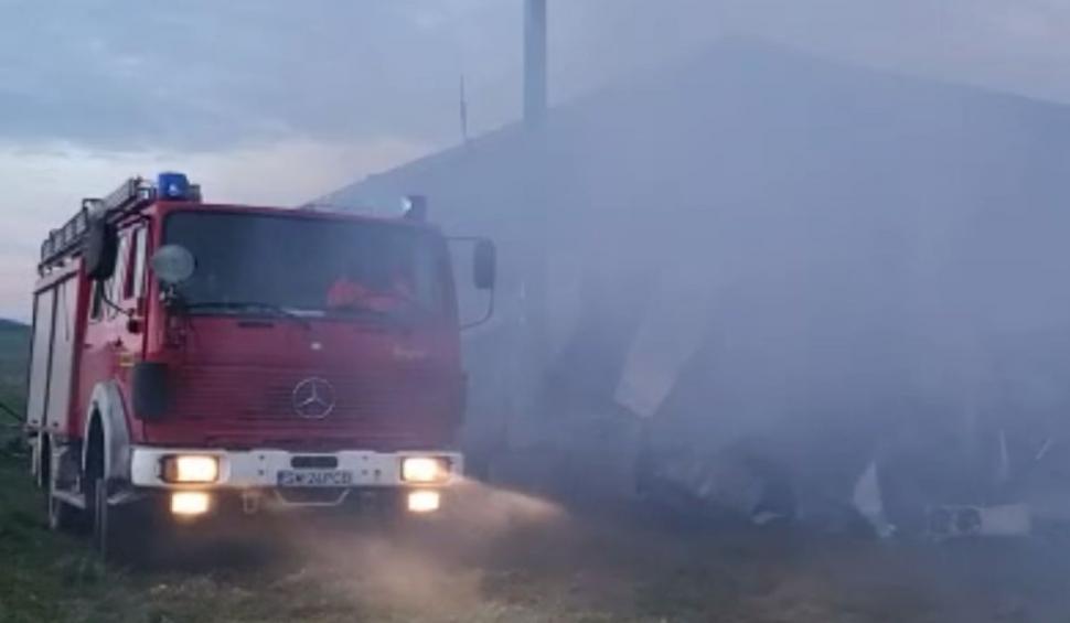 Incendiu la o fermă din Satu Mare: 9.000 de găini au murit carbonizate 804095