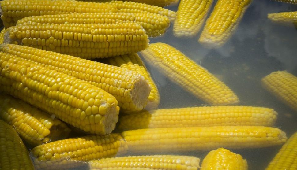 Cât a ajuns să coste un porumb fiert la Târgul de Crăciun din Ploieşti 805261