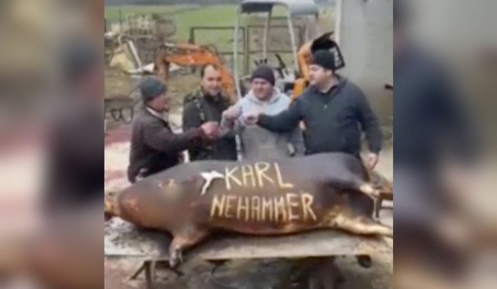 Cancelarul Austriei, ironizat la tăierea porcului de patru români: ”Să fiți sănătos!”