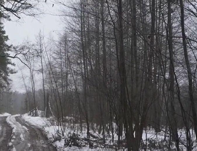 Ucraina se pregătește pentru un atac din Belarus | Surpriza care-l așteaptă pe Lukașenko dacă intră în război 805565