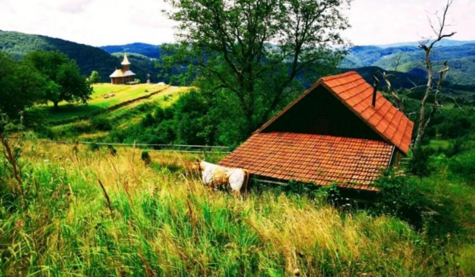 Casa părintească a părintelui Arsenie Boca, scoasă la vânzare | Cât costă locul sfânt de 8,5 hectare, din Hunedoara 805696