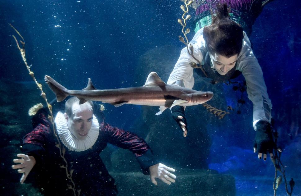 AquaDom, un acvariu gigantic cu pești tropicali, a explodat într-un hotel din Berlin și a produs un dezastru în împrejurimi 805943