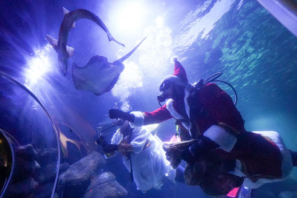 AquaDom, un acvariu gigantic cu pești tropicali, a explodat într-un hotel din Berlin și a produs un dezastru în împrejurimi 805946