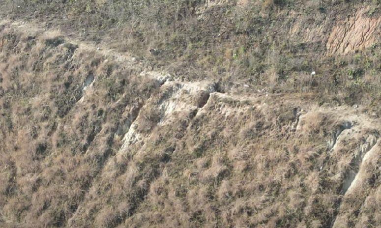 O autostradă din România, abia inaugurată, o ia la vale. Alunecare de teren în rambleu și crăpături în asfalt | Reacția CNAIR  805990