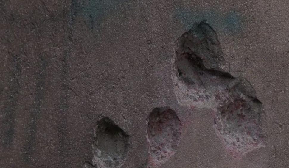 Bucureștiul secret, clădirile care poartă urmele gloanțelor de la Revoluție 805846