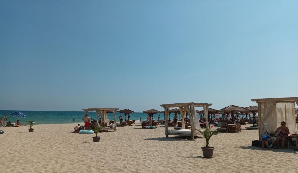 Cine este Frumoasa Albena și ce legătură are cu economia circulară 806602