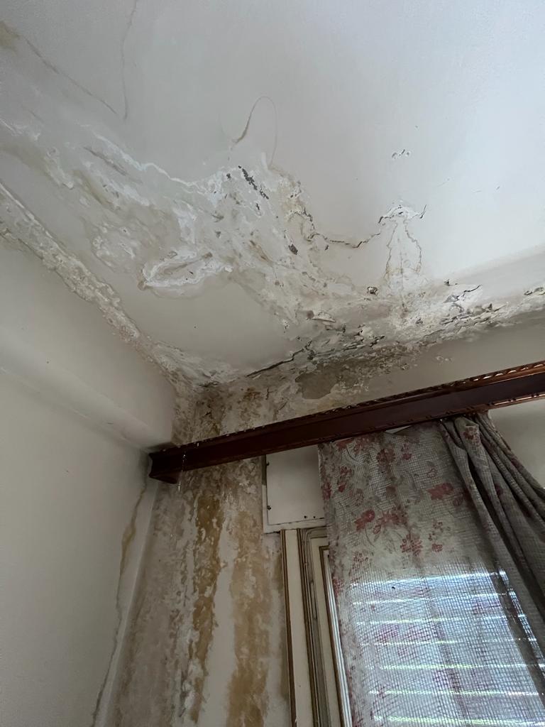 Scandal uriaş la Primăria Sectorului 1. Clotilde Armand este acuzată de abuz în serviciu privind renovarea unui apartament din bani publici 806872