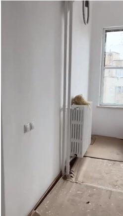 Scandal uriaş la Primăria Sectorului 1. Clotilde Armand este acuzată de abuz în serviciu privind renovarea unui apartament din bani publici 806886