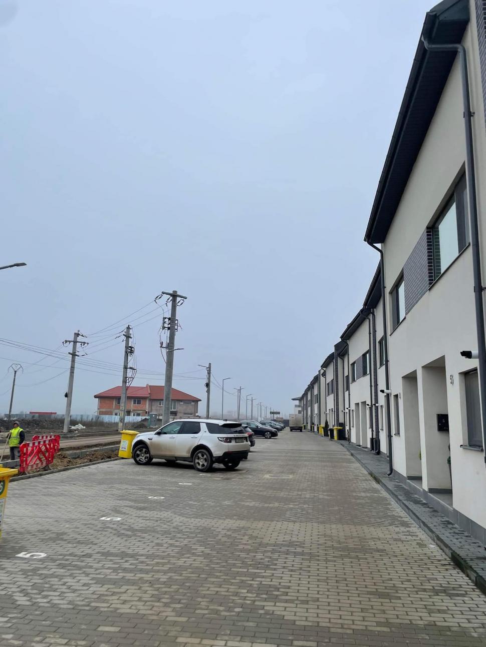 O tarantulă a fost descoperită pe o stradă din Voluntari, Ilfov 806840