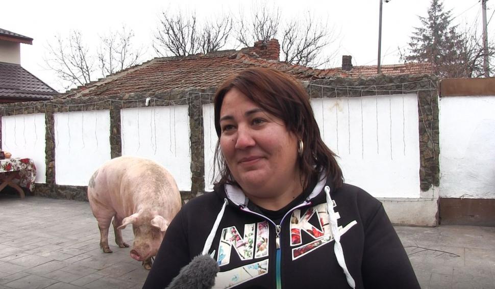 Marcel are 700 de kilograme şi l-a depăşit pe Jardel. Toţi vecinii s-au strâns să-l vadă pe cel mai mare porc din România 807049