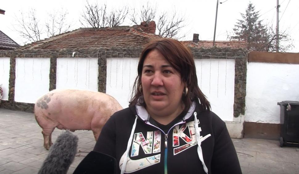 Marcel are 700 de kilograme şi l-a depăşit pe Jardel. Toţi vecinii s-au strâns să-l vadă pe cel mai mare porc din România 807050