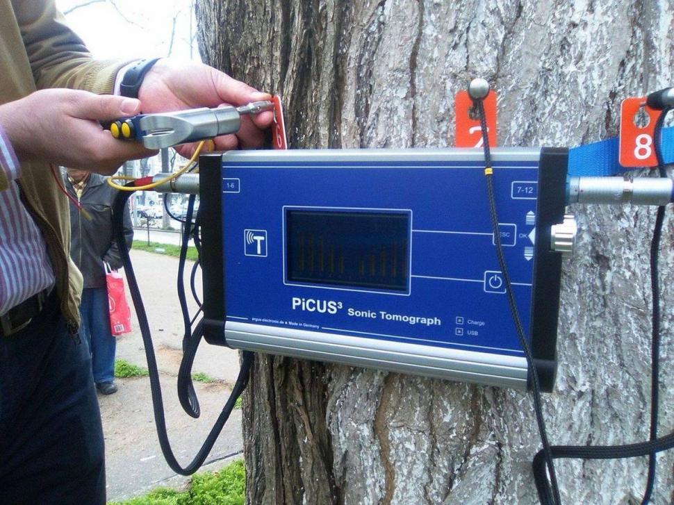 Arborii din Galați vor fi monitorizați cu un tomograf 807364