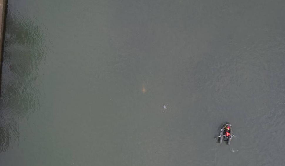 Un tânăr din Bihor a fost găsit mort în Crișul Repede după ce și-a agresat iubita și a fugit de poliție 807339