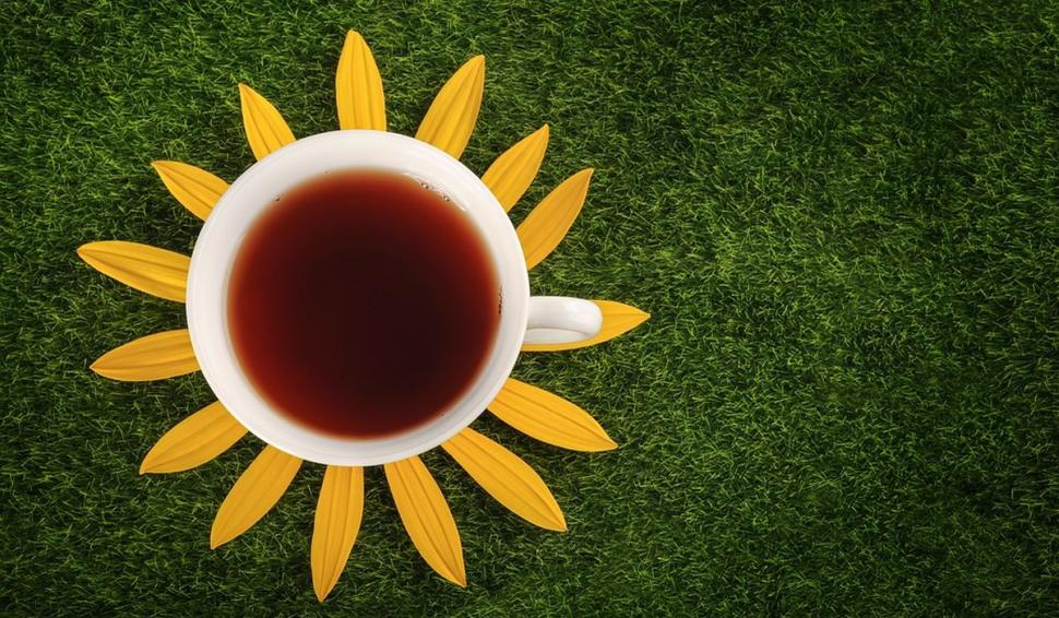 Combinaţii de ceaiuri care sunt boost pentru imunitate. Medic: "Nu luăm mai mult de opt săptămâni un tratament" 808010