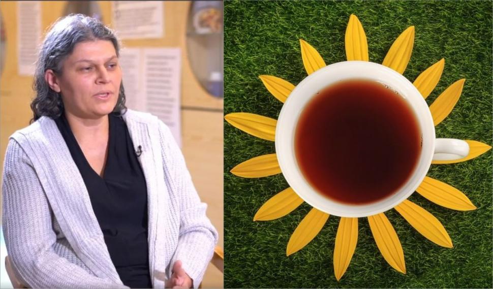 Combinaţii de ceaiuri care sunt boost pentru imunitate. Medic: "Nu luăm mai mult de opt săptămâni un tratament" 808012