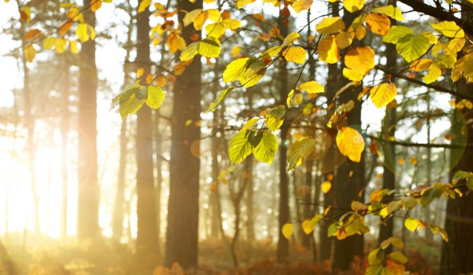 "Vor fi 17 grade, pe 1 ianuarie 2023" | Alina Şerban, ANM, anunţă vreme neobişnuită de Revelion 808230