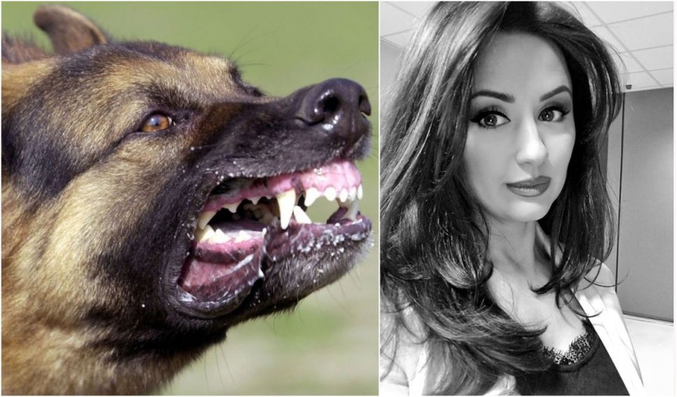 Prezentatoare TVR, atacată de o haită câini în Bucureşti. Poliţia nu a intervenit, acuză femeia