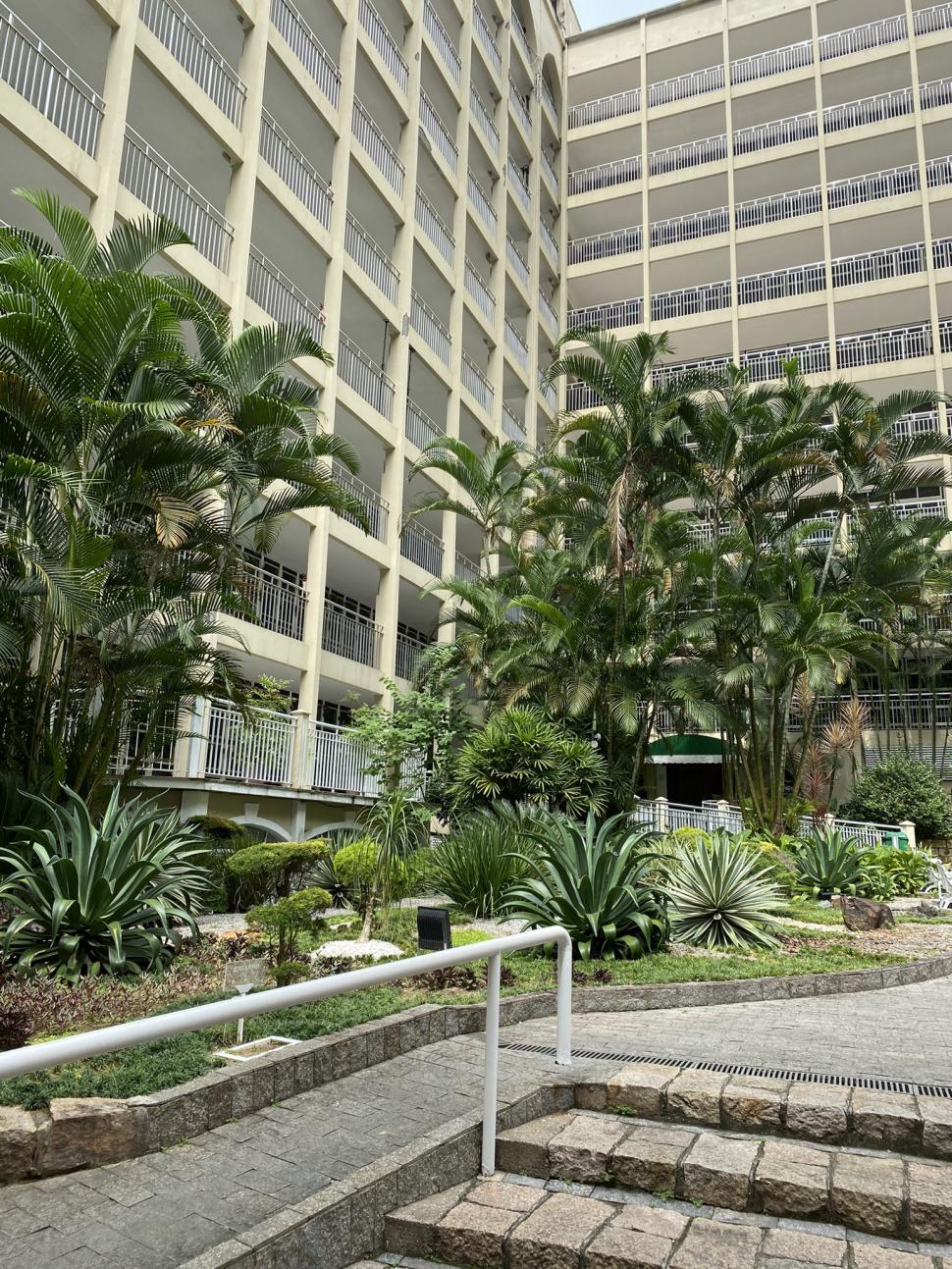 Detalii despre funeraliile lui Pele. Ce au pregătit autorităţile pentru legenda fotbalului mondial 808635