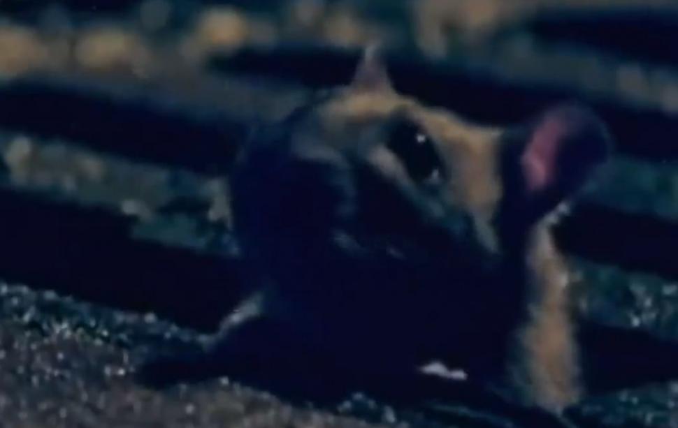 Ce au pregătit ucrainenii la Moscova în 2023 | Imaginile terifiante din clipul distribuit de un oficial de la Kiev 808746