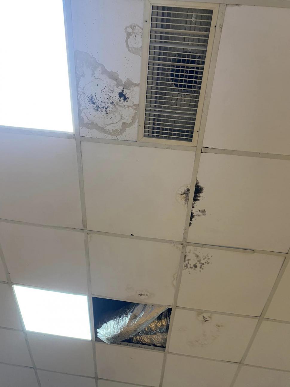 Experiență de coșmar pentru o tânără și bunica ei, într-un spital din Constanța: ”Cum tratezi o cardiacă care abia mai respiră? O lași 14 ore la urgențe” 809077