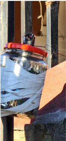 Misterul din spatele grenadei artizanale legată de gardul unei case din Ilfov 809682