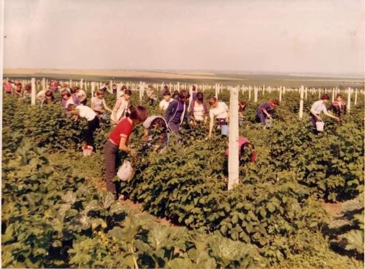 Mesajul unei românce pentru părinţi, viral pe internet: "Spuneţi-le copiilor voştri asta" 810044