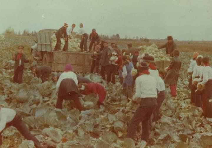 Mesajul unei românce pentru părinţi, viral pe internet: "Spuneţi-le copiilor voştri asta" 810045