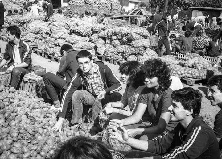 Mesajul unei românce pentru părinţi, viral pe internet: "Spuneţi-le copiilor voştri asta" 810047