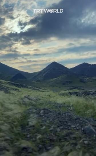 A înverzit deșertul! Fenomen rar surprins în Arabia Saudită 810268