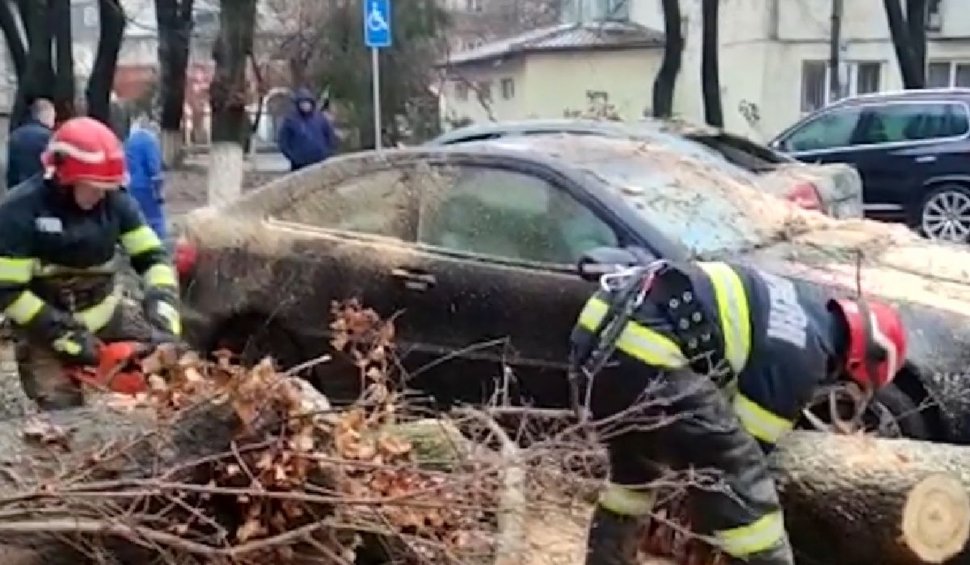 Intervenţie de urgenţă la Buzău. Un copac s-a rupt din cauza vântului puternic şi a distrus patru autoturisme