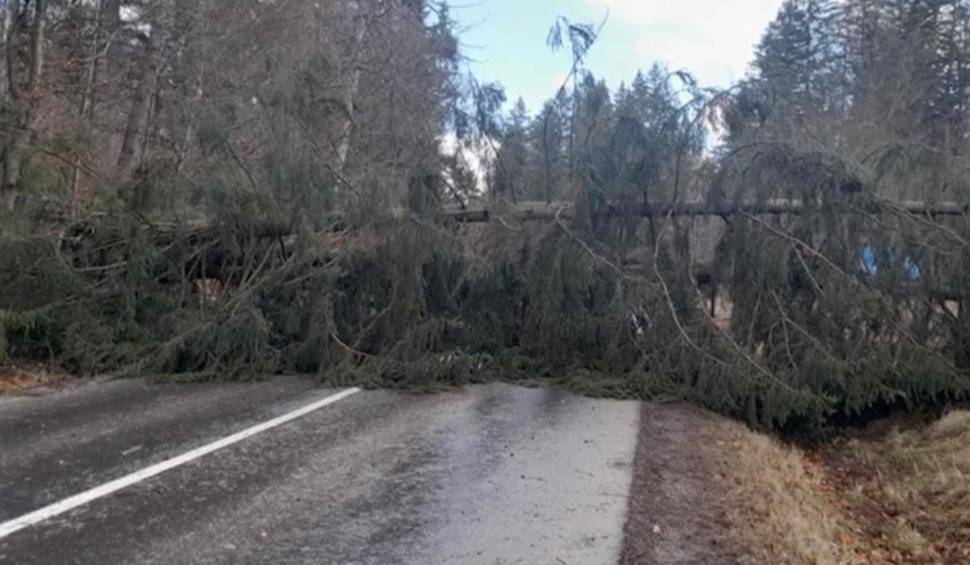 România între cod roşu de viscol şi temperaturi de vară. Ce spun meteorologii 811796