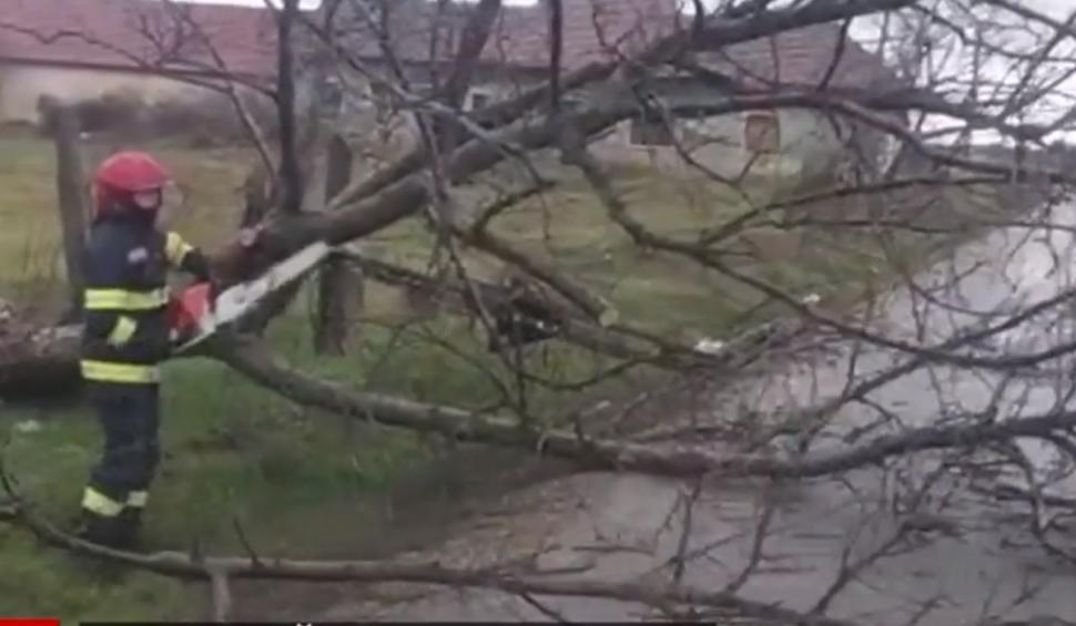 România între cod roşu de viscol şi temperaturi de vară. Ce spun meteorologii 811797