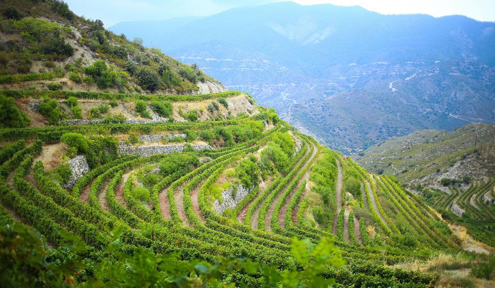 Ciprul de Nord și Ciprul de Sud, pentru vacanțe de lux, la plajă 811739