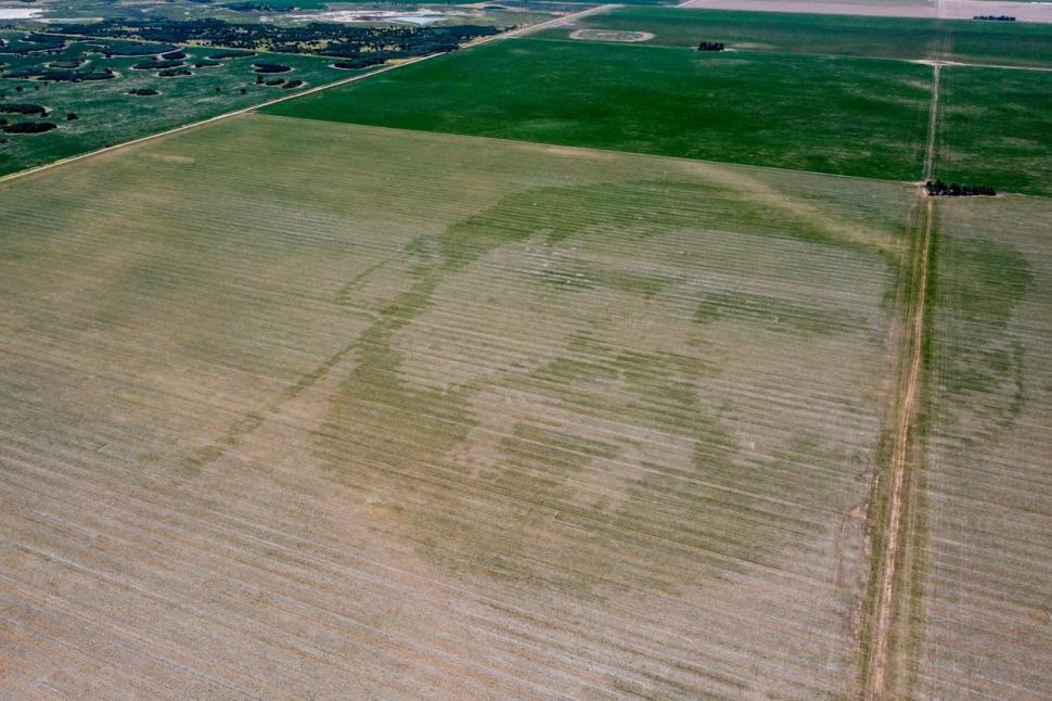 Imagini din ”ceruri” | Fața lui Messi, imortalizată într-un lan de porumb de 50 de hectare din Argentina 811840
