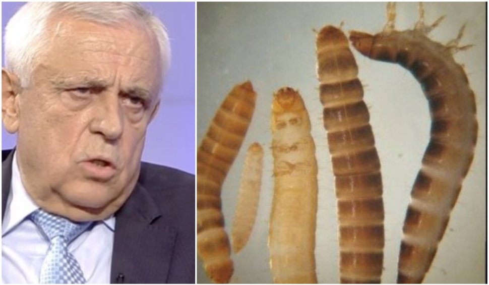 Petre Daea, despre larva gândacului de bălegar, aprobat de UE ca aliment comestibil:  "Lăsaţi insectele în insectar”