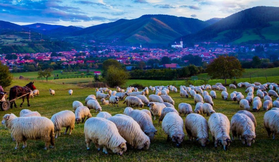 21 de noi localități din România, atestate ca zone cu resurse turistice. Unde vei putea merge în vacanţe inedite