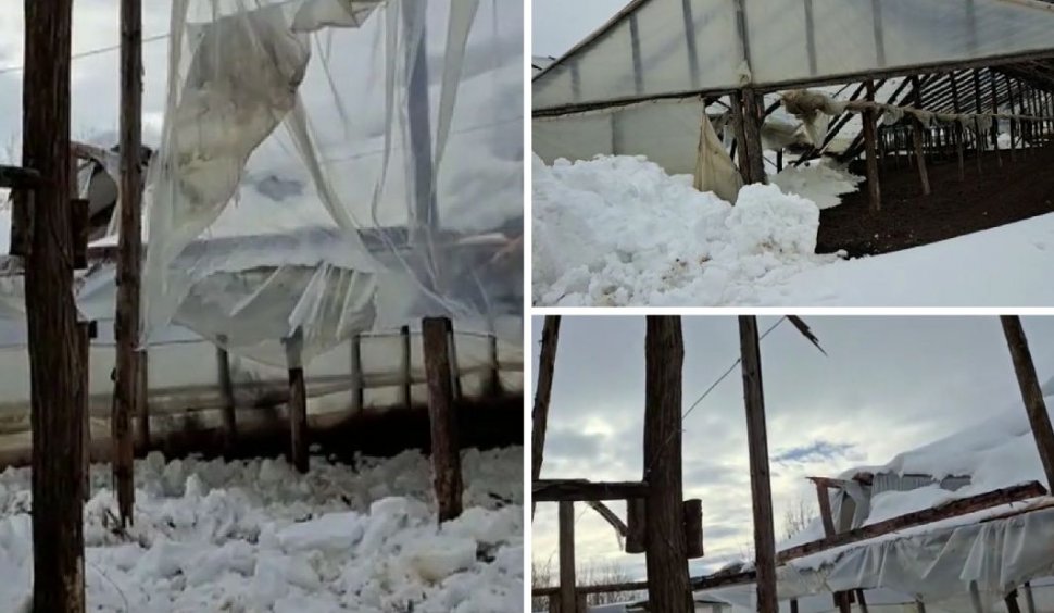 Sute de solarii cu legume au fost distruse de viscol şi zăpadă. Pagube uriaşe pentru legumicultorii din Matca