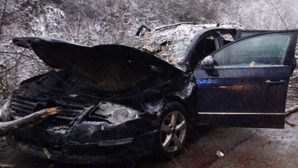 Un copac a căzut peste o mașină în mers, în Reșița. Un băiat de 14 ani a murit
