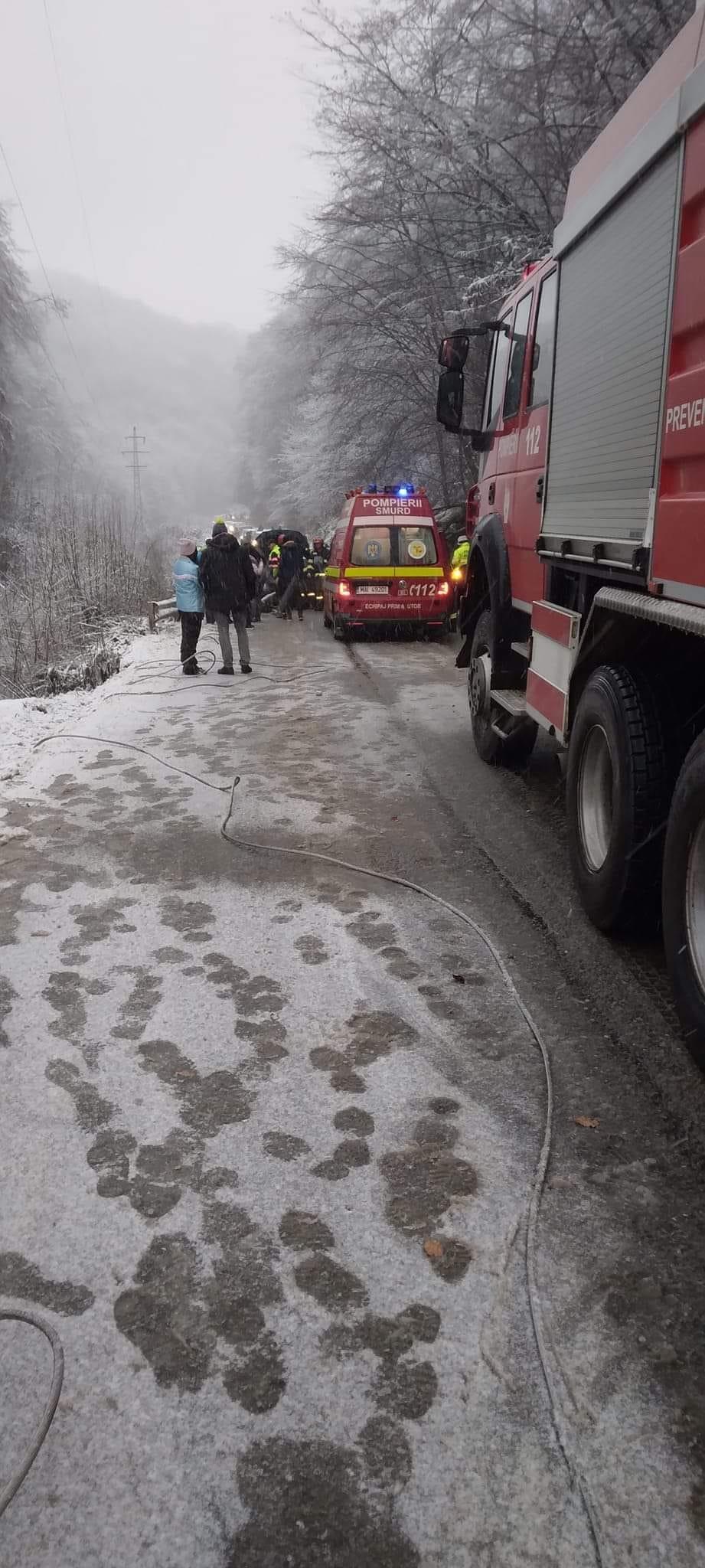 Un copac a căzut peste o mașină în mers, în Reșița. Un băiat de 14 ani a murit 814995