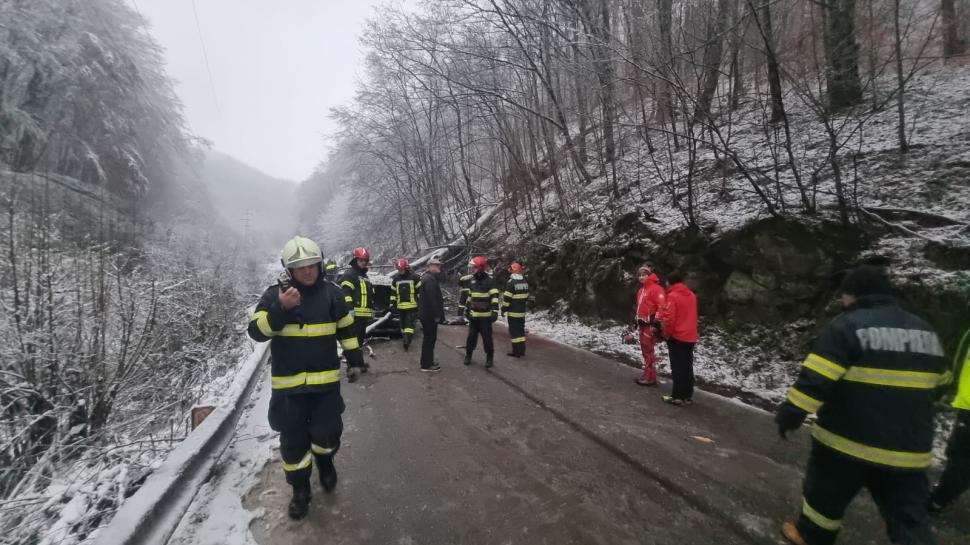 Un copac a căzut peste o mașină în mers, în Reșița. Un băiat de 14 ani a murit 814999