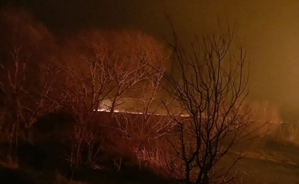 Incendiu puternic în Delta Dunării, lângă Sulina | Ard circa 150 de hectare de vegetaţie