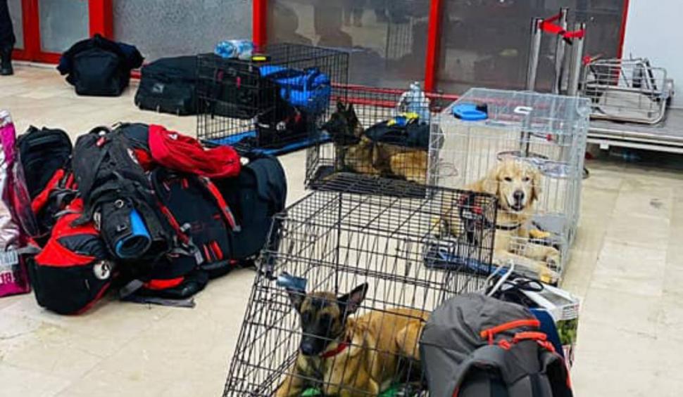 Ei sunt Rareş şi Max, pompierul din Cluj şi câinele său care au plecat în Turcia pentru a salva vieţi. Rareş s-a oferit să meargă voluntar din timpul său liber 816039