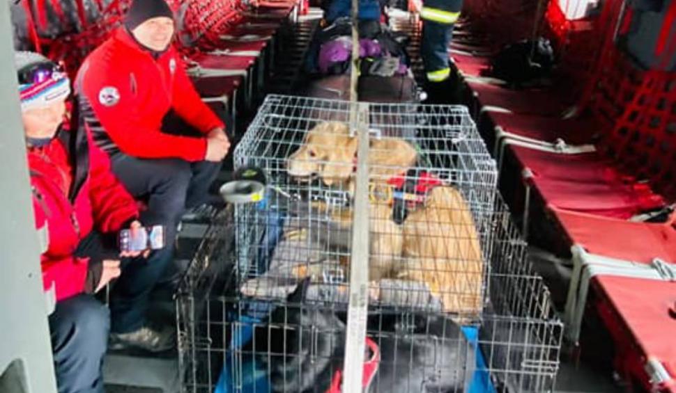 Ei sunt Rareş şi Max, pompierul din Cluj şi câinele său care au plecat în Turcia pentru a salva vieţi. Rareş s-a oferit să meargă voluntar din timpul său liber 816041